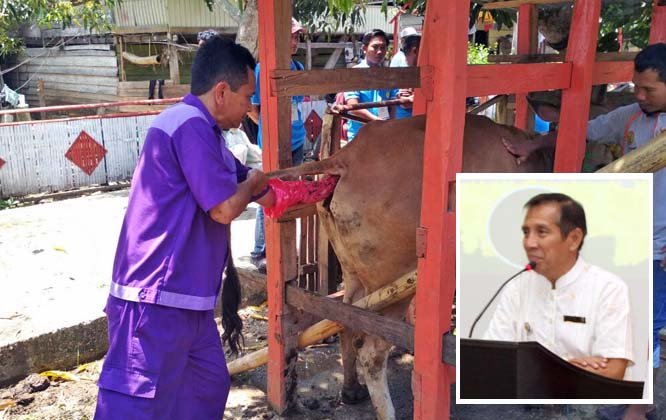 BBPP Kupang Gelar Pelatihan Tematik Peternakan di Bone Dukung Upsus Siwab